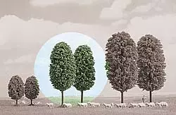 2 arbres, 10 cm