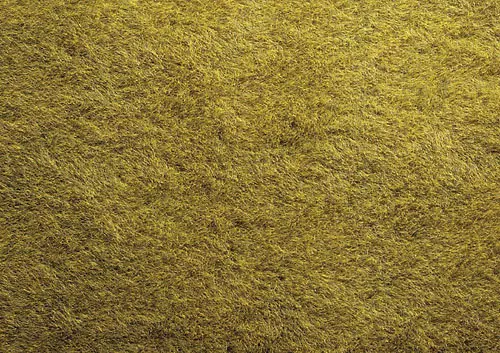 Mini tapis herbe clair 40cm X 29.5cm