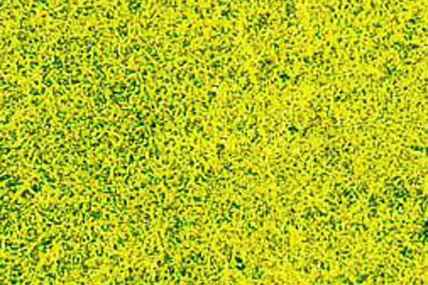 Tapis herbe des prés jaune, 28x14 cm
