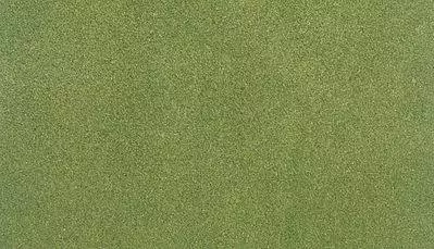 Rouleau de gazon couleur herbe de printemps 83.8 x 127 cm