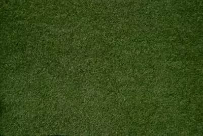 Tapis herbe vert 120 X 60 cm 