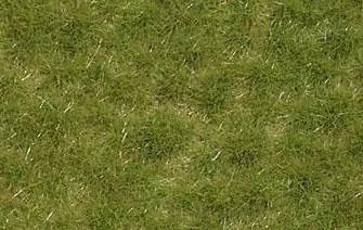Tapis de décor Touffes d'herbe jaunies, fibre de 6 mm