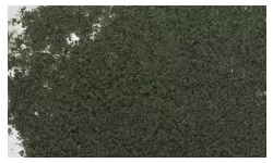 Sachet de flocage feuillage sapin vert  Woodland Scenics F54 - HO 1/87 - 464 cm²