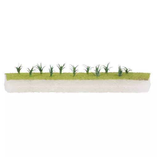 Plantation de 20 poireaux du jardin Faller 181288 - HO 1/87 - hauteur 12 mm