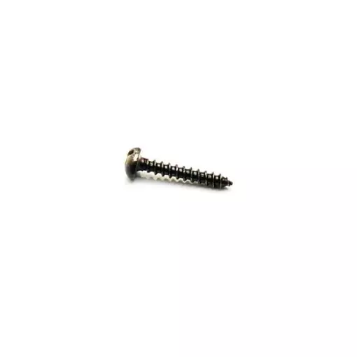 Box of 144 wood screws | FLEISHCMANN 6410