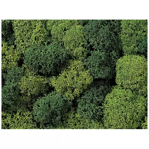 Mousse lichen "Green Mix" - Noch 08621 - Toutes échelles - 75 g