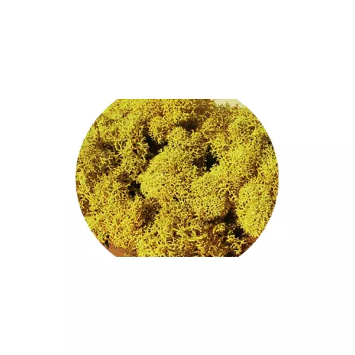 Sachet de Mousse - Jaune - 30 Grammes - HEKI 3215 - Toutes Echelles 