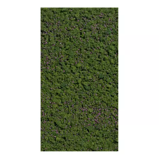 Flocage myrtilles forestières Busch 7348 - HO - 150 x 80 mm