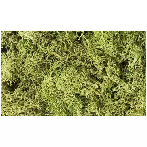 Lichen vert clair - Woodland Scenics L162 - 1,4L