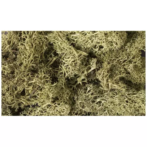 Mousse lichen vert printemps - Woodland Scenics L161 - Toutes échelles - 1,41 L