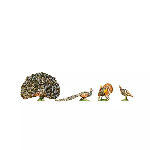 Turkeys, peacocks
