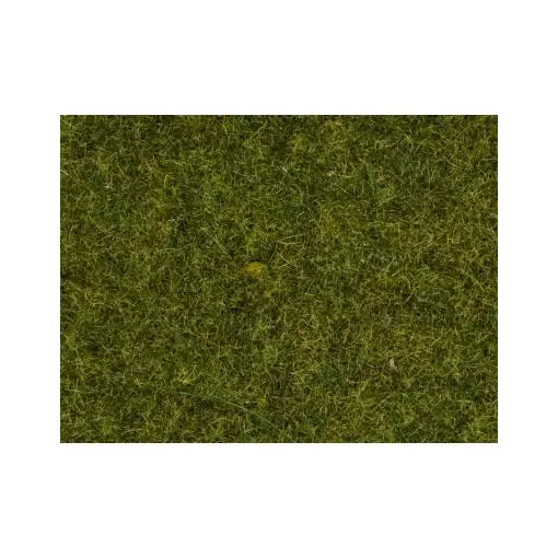 Herbes de pré de 2.5mm - Noch 08152 - Couleur vert - Longueur 1,5 à 2,5 mm