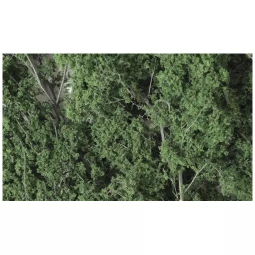 Rami/Foglie sottili - Fogliame verde scuro - WOODLAND SCENICS F1130 - 1220 cm³
