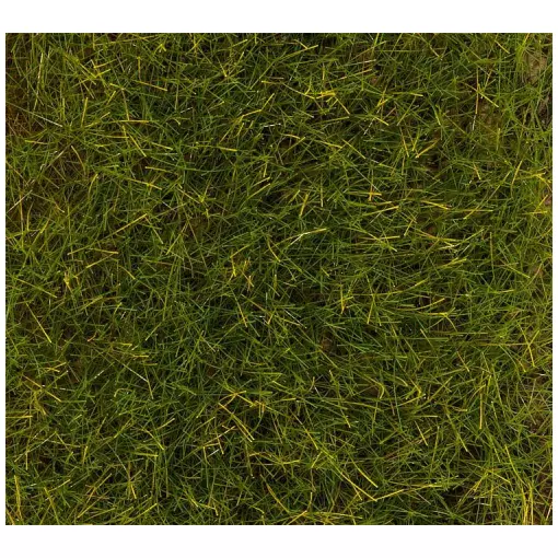 Fibres de flocage PREMIUM, Prairie d'été, 30 g