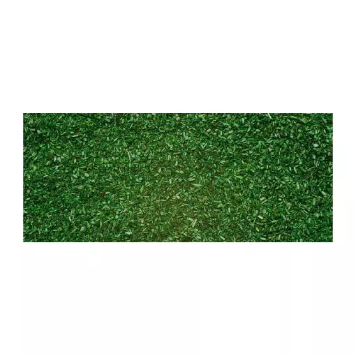 Herbe de sol de foret 42 g