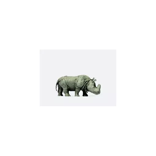 rhinocéros indien 