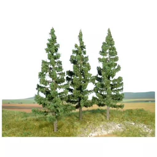 Lot von 3 Fichten 17 cm