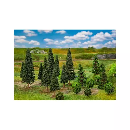 Lot de 25 arbres forêts mixte de 35 à 90 mm