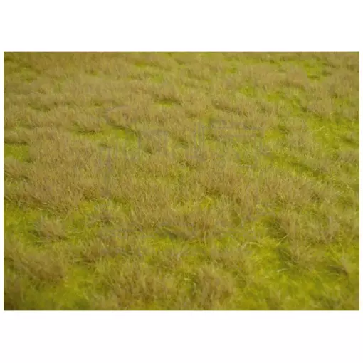 Tapis - Herbes sauvages de savane - Vert - HEKI 1840 - Échelle HO / TT - 450 x 170 mm