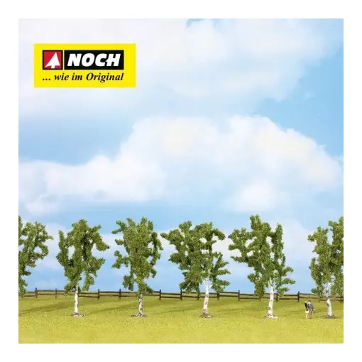 Pack of 7 birch trees Noch 25096 - Ho, TT, N, - Height 100 mm