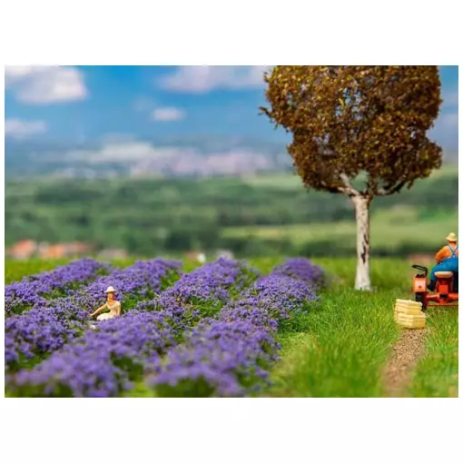 Lavender field - Faller 181279 - HO 1/87 - 175x125x11 mm