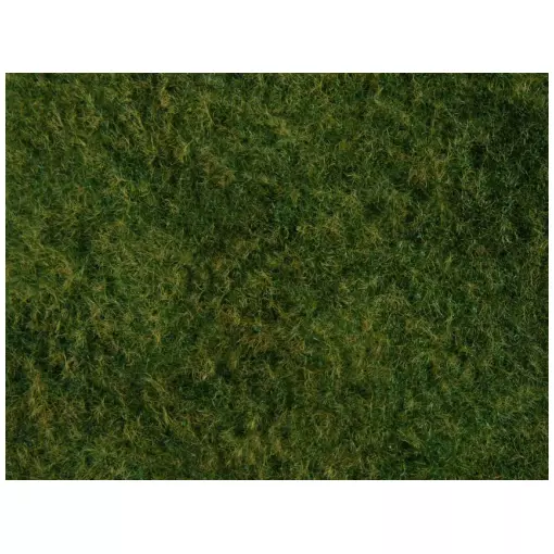 Foliage herbe sauvage  Vert clair/jaune 200x230 mm NOCH 07280 - Universel