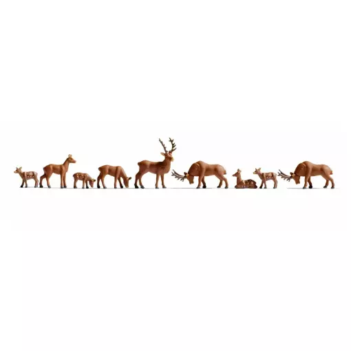 9 cervi