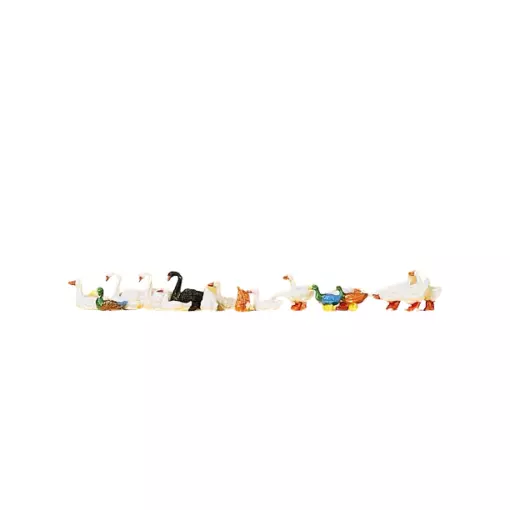 Patos, cisnes y ocas