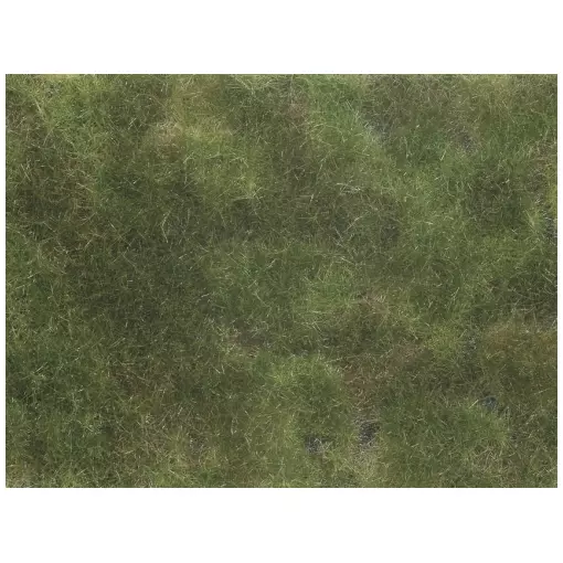 Sheet/mat 120 x 180 mm Medium green NOCH 07250 - HO 1/87 - Detailed