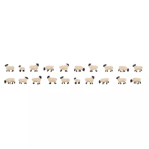 Miniaturas de animales | Set 20 ovejas cabeza negra Faller 155906 - N : 1/160