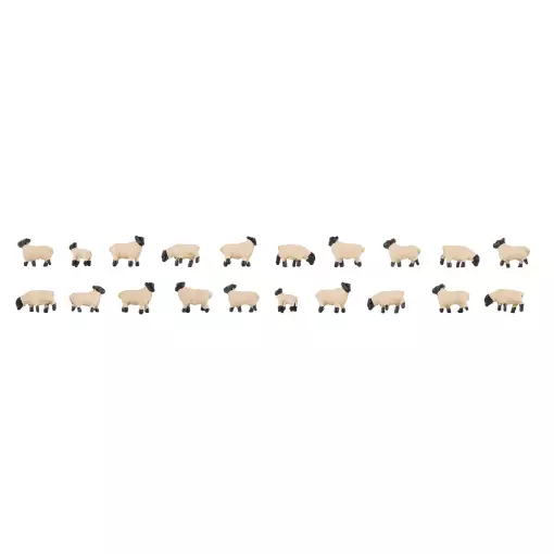 Miniature animals | Set 20 sheep black head Faller 155906 - N : 1/160