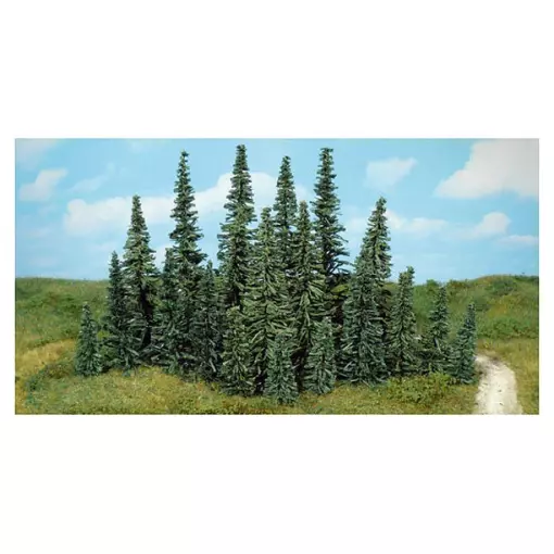 Pack of 100 fir trees 5-7cm