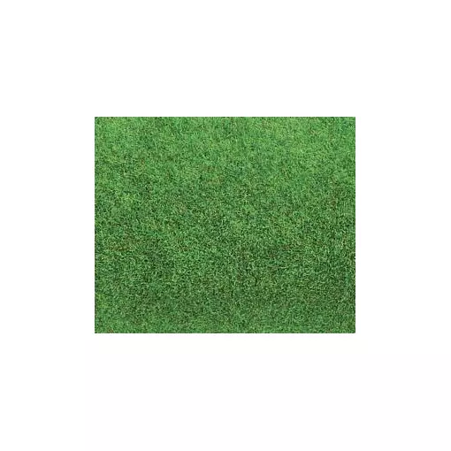 Light green grass carpet