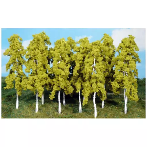 Set of 14 birch trees 14 cm