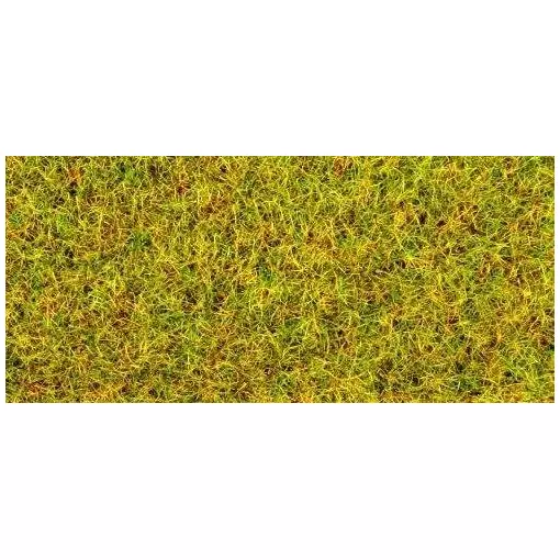 Fibre di erba "prato estivo" - Noch 08310 - Tutte le scale - 2,5 mm - 20 g