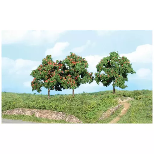 Set of 3 apple trees, 13 cm high