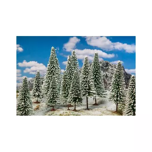 Batch of 18 winter fir trees, 100 to 140 mm