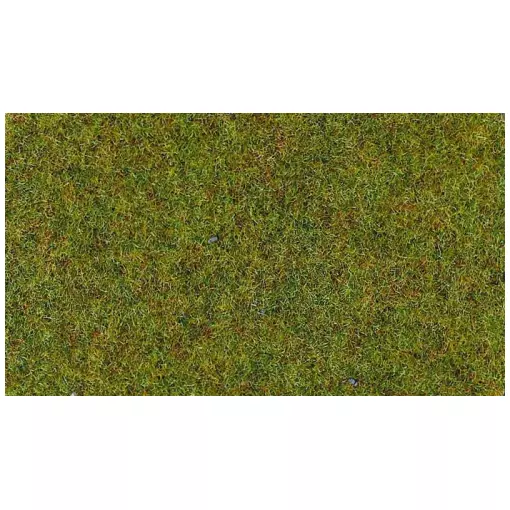 Flocage - Fibres d'herbes terrain d'été - HEKI 3360 - Échelle Universelle - 100 g
