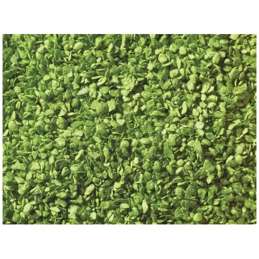 Hellgrüne Blätter / Beutel à 50 g