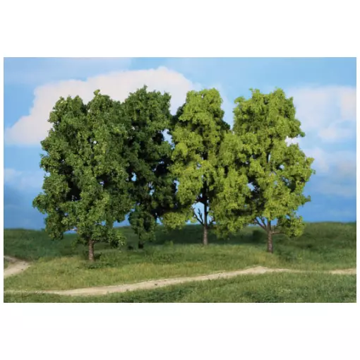 4 deciduous trees, 18 cm