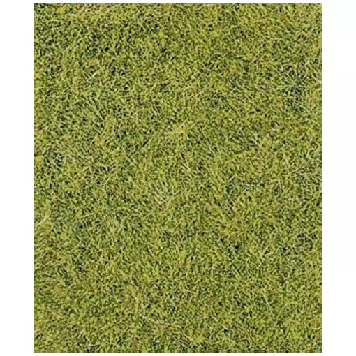 Tapis - Vert de prairie - HEKI 1575 - Échelle HO / TT / N - 280x140 mm