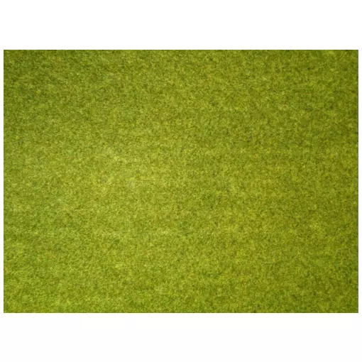 Tapis 45 X 30 cm - Noch 00005