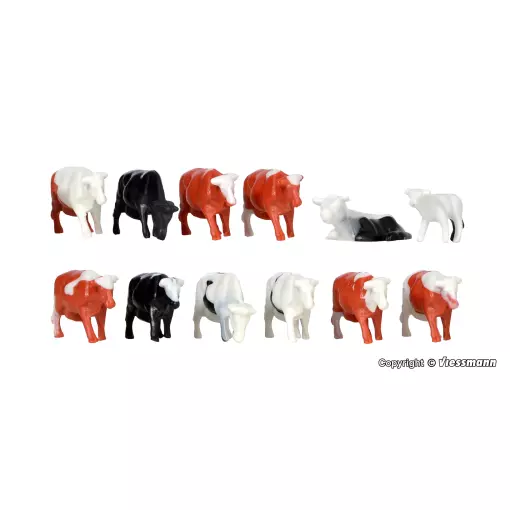 Vaches