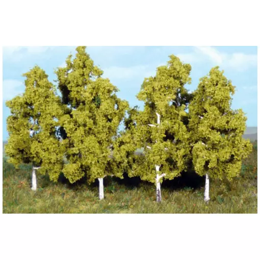 Set of 6 8 cm birch trees