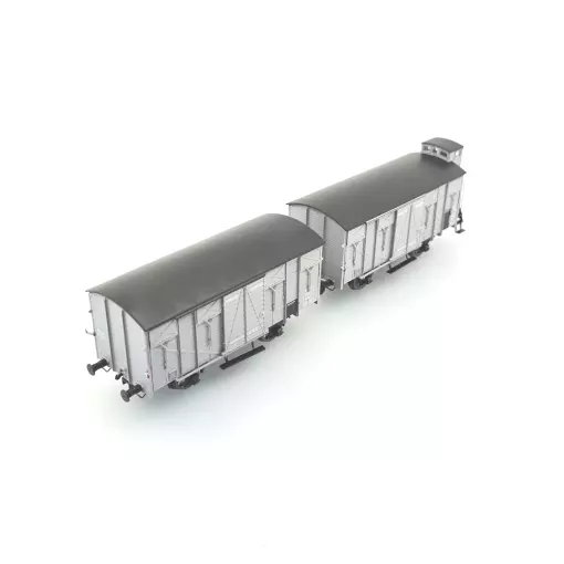 Set 2 wagons Couvert OCEM 19 - REE Modèles WB683 - HO 1/87 - SNCF - EP II