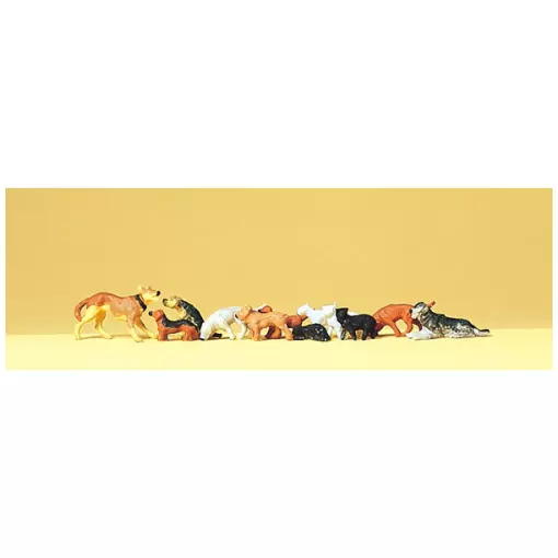 Honden en katten