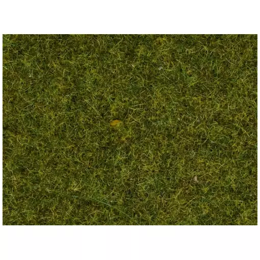 Fibre di erba di prato - Noch 08312 - Tutte le scale - 2,5 mm - 20 g