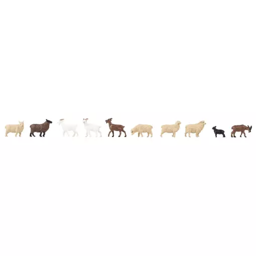 Set van 10 Faller schapen en geiten 151921 - HO : 1/87