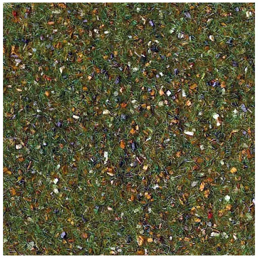 Teppich Waldgrün 75x100 cm