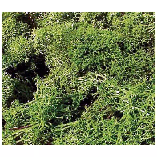 Mousse vert clair 75 grammes - HEKI 3219 - toutes échelles